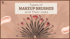 15+ Types of Makeup Brushes and Their Uses - A Complete Guide